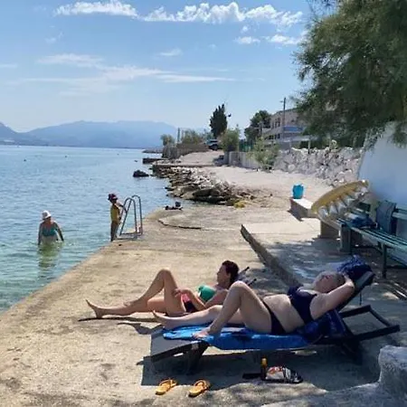 Skender *