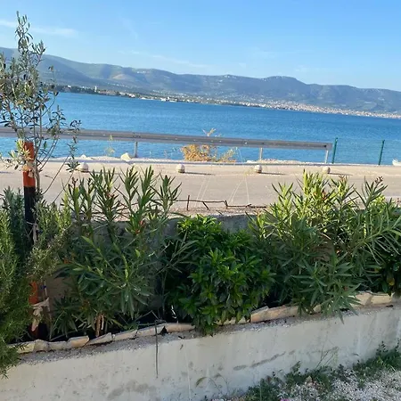 Skender Trogir